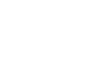 custom design options